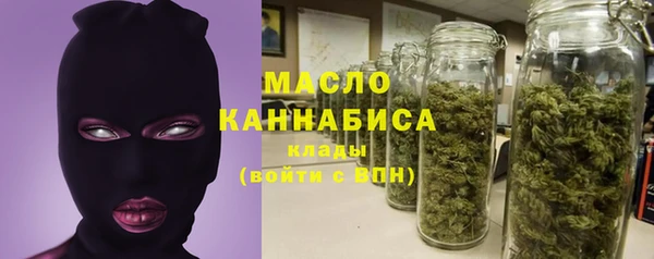 хмурый Дмитров