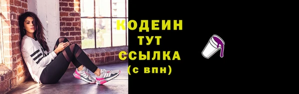 хмурый Дмитров