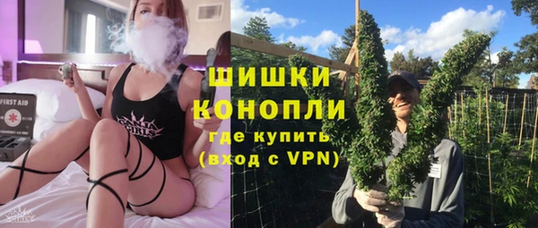 прущая мука Дмитриев