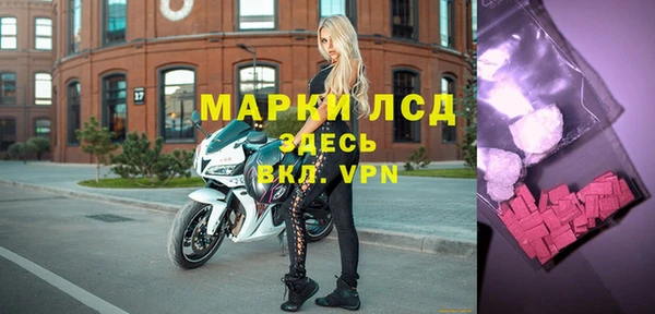 хмурый Дмитров
