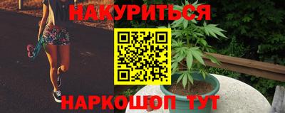 apvp Ирбит