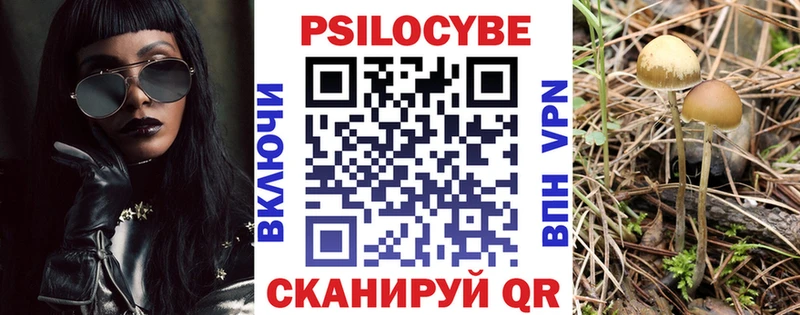 Псилоцибиновые грибы мицелий  закладки  Сальск 