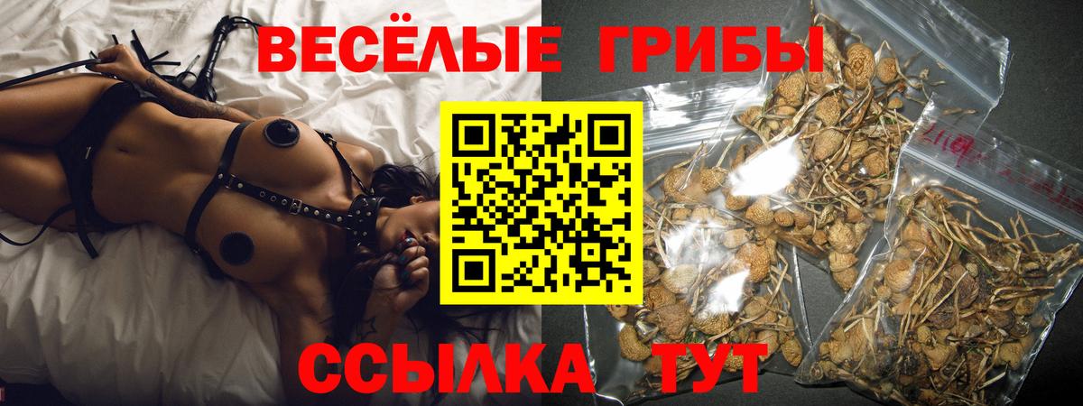 Сальск  Псилоцибиновые грибы прущие грибы  Вход с VPN  Галлюциногенные грибы прущие грибы 